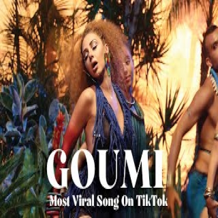 Goumi Goumi