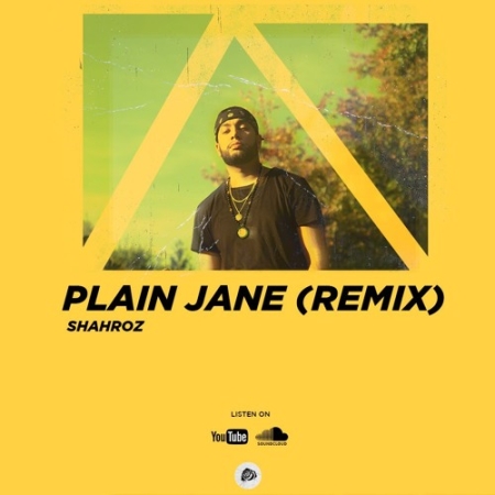 Plain Jane Remix