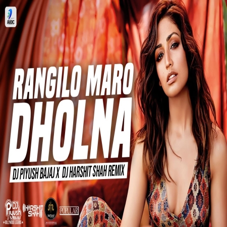 Rangilo Maro Dholna DjRemix