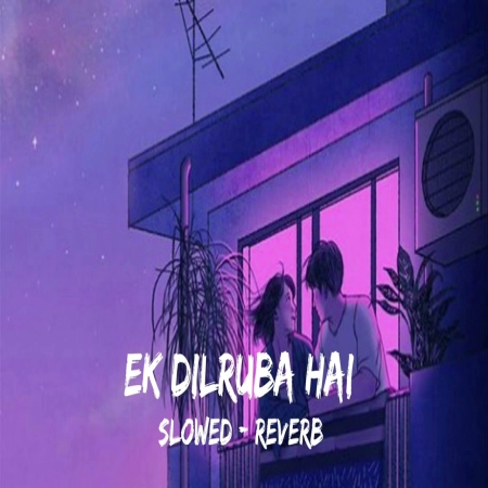 Mera Dil Jis Dil Pe Fida Hai Ek Dilruba Hai (Slowed Reverb) Lofi Mix