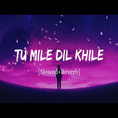 Tum Mile Dil Khile (Slowed Reverb) Lofi Mix