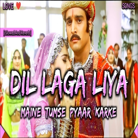 Dil Laga Liya Maine Tumse Pyar Karke (New Version) Slowed Reverb Lofi