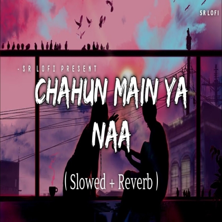 Chahun Main Ya Naa (Slowed Reverb) Lofi Mix