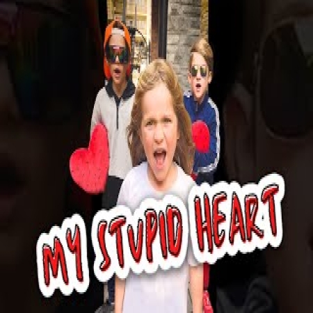 My Stupid Heart