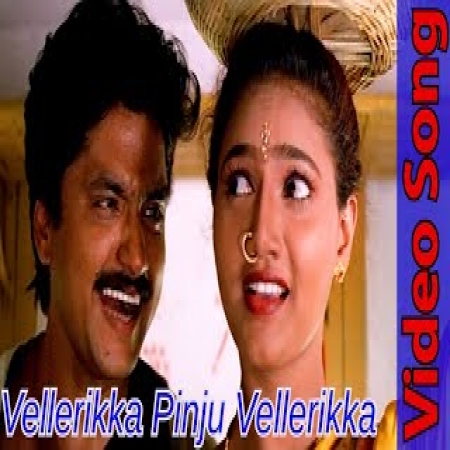 Vellarikka Pinju Vellarikka