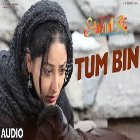 Tum Bin Jiya Jaye Kaise Sanam Re