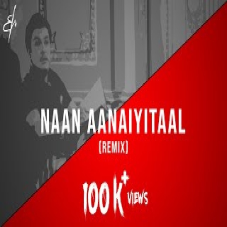 Naan Aanaiyittal Remix