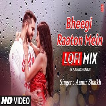 Bheegi Raaton Mein   LoFi