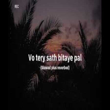 Wo Tere Sath Bitaye Pal (Slowed Reverb)