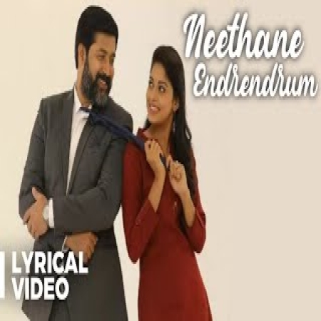 Neethane En Ponvasantham Serial