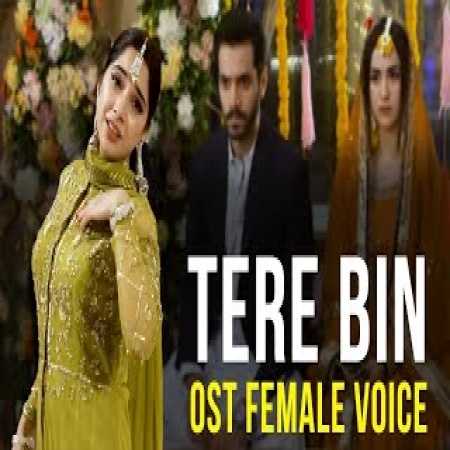 Tere Bin Ost   Female Version