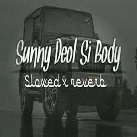 Sunny Deol Si Body Re (Slowed Reverb)