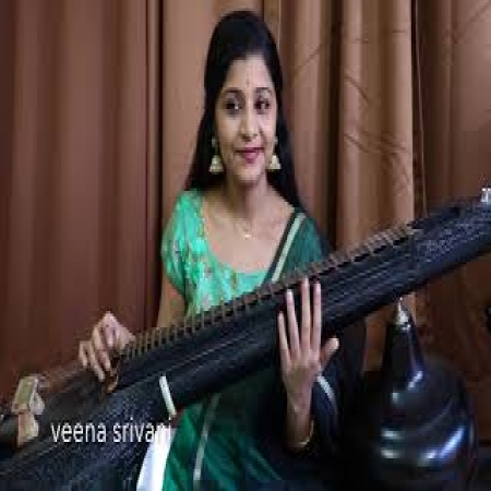 Nuvvakkada Nenikkada Instrumental