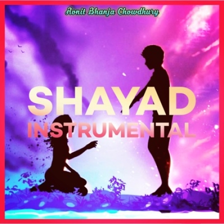 Shayad   Instrumental