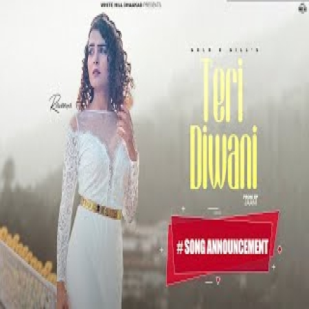 Teri Diwani