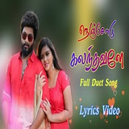 Nenjodu Kalanthavale Sembaruthi Serial