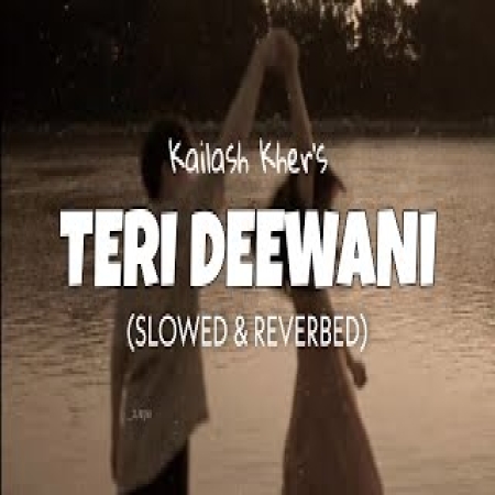 Teri Deewani Slowed Reverb