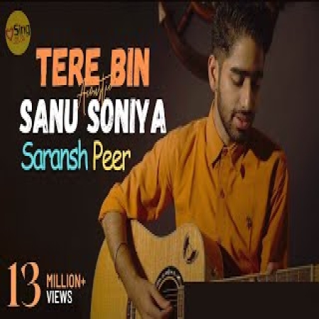 Tere Bin Sanu Soniya New Version