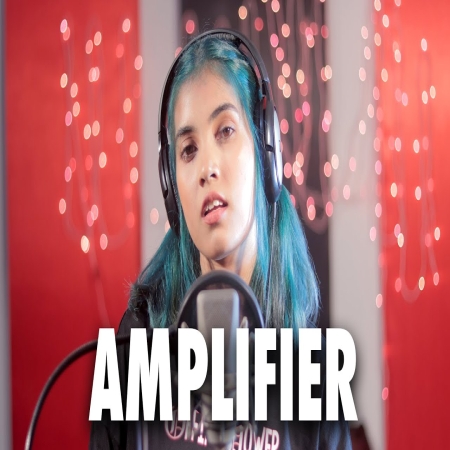 Amplifier Cover