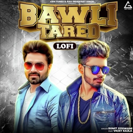 Bawli Tared (lofi) 192(PagalWorld.com.cm)