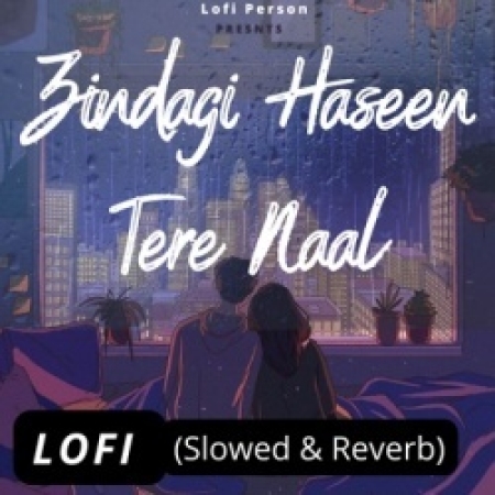 Zindagi Haseen Lofi Mix (Slowed and Reverb)