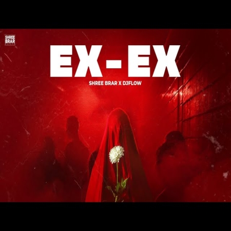 EX EX (Shree Brar)