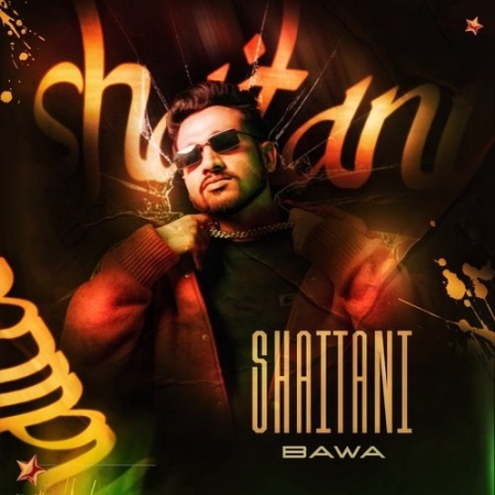 Bawa Shaitani