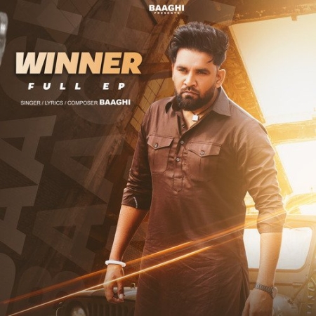 Winner Baaghi