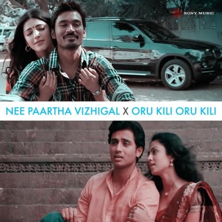 Nee Paartha Vizhigal x Oru Kili Oru Kili Mashup