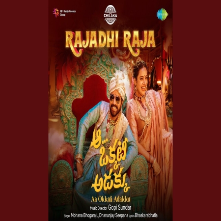 Rajadhi Raja (Aa Okkati Adakku)