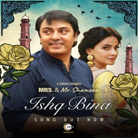 Ishq Bina OST