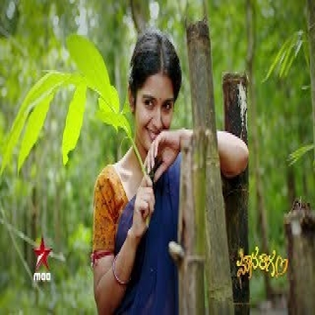 Mouna Ragam Serial Title