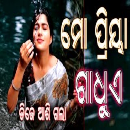 Mo Priya Gadhae Dj Remix