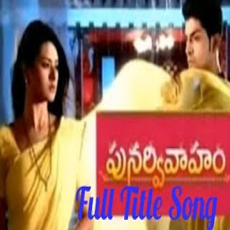 Punarvivaham Telugu Serial Title