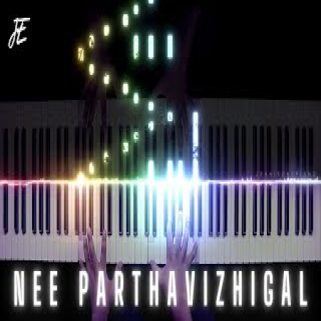 Nee Partha Vizhigal Instrumental